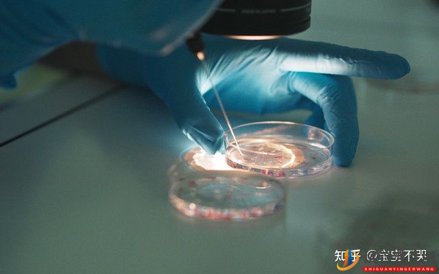 泰國試管包成功的費(fèi)用是騙局嗎_到底可信嗎(圖4) 泰國試管包成功的費(fèi)用是騙局嗎_到底可信嗎(圖2)