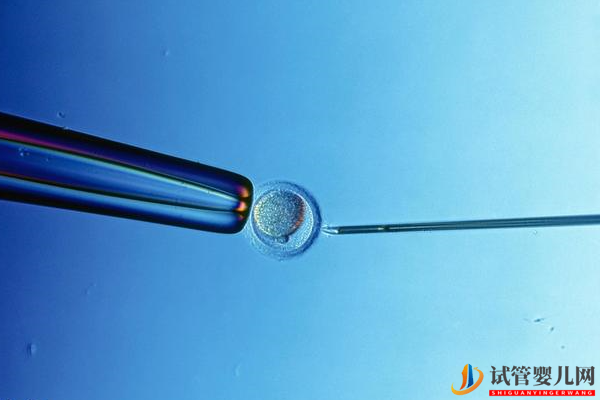 美國試管嬰兒疑惑篇：常見的7個問題解讀(圖1)