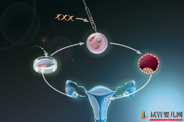 美國做試管嬰兒的流程與注意事項(圖5) 美國做試管嬰兒的流程與注意事項(圖3)