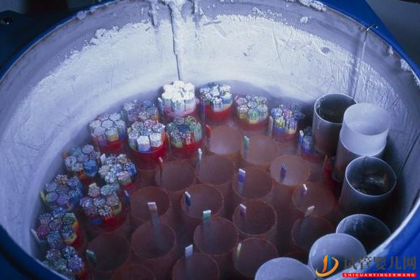 美國試管嬰兒知識問答_取卵半年后再移植,如何保障(圖6) 美國試管嬰兒知識問答_取卵半年后再移植,如何保障(圖6)