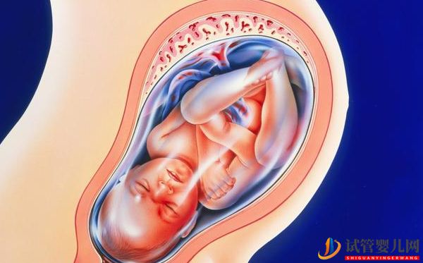 美國試管嬰兒知識問答_取卵半年后再移植,如何保障(圖8) 美國試管嬰兒知識問答_取卵半年后再移植,如何保障(圖8)