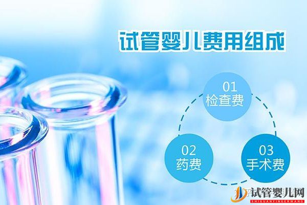 美國試管嬰兒成功率及費用是多少呢(圖3) 美國試管嬰兒成功率及費用是多少呢(圖2)