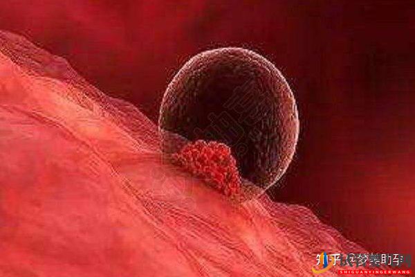 美國試管嬰兒成功率及費用是多少呢(圖13) 美國試管嬰兒成功率及費用是多少呢(圖7)