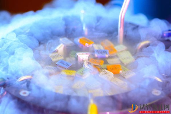 美國試管嬰兒評測：凍卵與凍胚哪個更適合自己？(圖1)