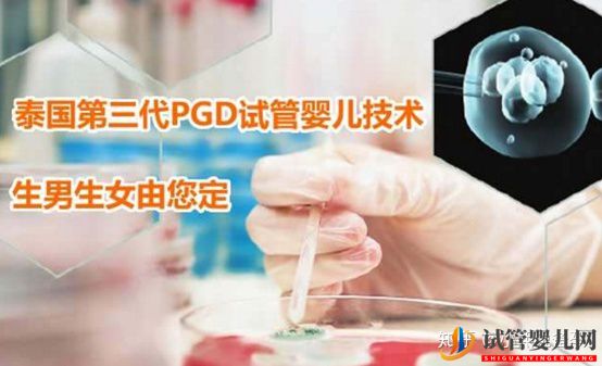 第三代泰國試管嬰兒的技術與優勢!(圖3) 第三代泰國試管嬰兒的技術與優勢!(圖2)