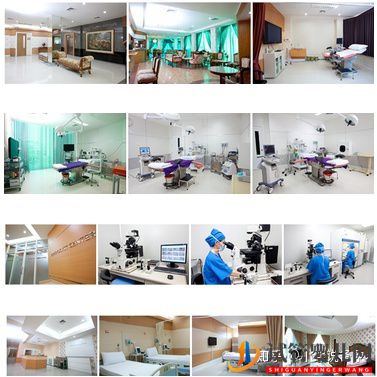 第三代泰國試管嬰兒的技術與優勢!(圖9) 第三代泰國試管嬰兒的技術與優勢!(圖5)