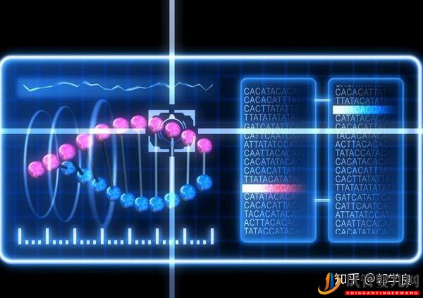 美國試管嬰兒技術(shù)剖析-六個環(huán)節(jié)操作細(xì)節(jié)解讀(圖1) 美國試管嬰兒技術(shù)剖析-六個環(huán)節(jié)操作細(xì)節(jié)解讀(圖1)