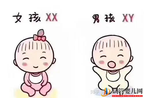 為什么選擇到泰國試管(圖8) 為什么選擇到泰國試管(圖8)