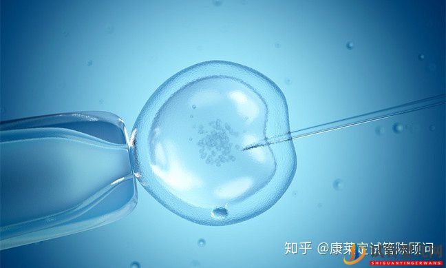 一張圖告訴你,為什么越來越多人做泰國試管嬰兒(圖5)