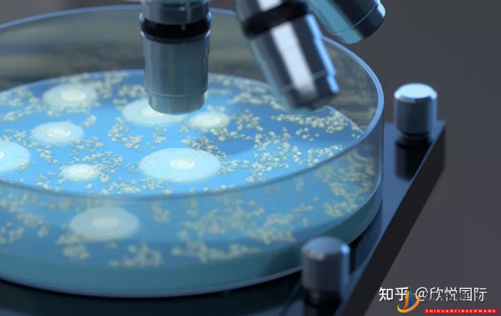 凍胚是什么_了解下凍胚過(guò)程!成都凍胚多少錢(qián)(圖1)