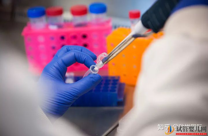 凍胚是什么_了解下凍胚過(guò)程!成都凍胚多少錢(qián)(圖5)