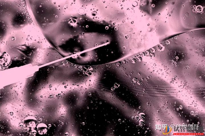 凍胚是什么_了解下凍胚過(guò)程!成都凍胚多少錢(qián)(圖7)