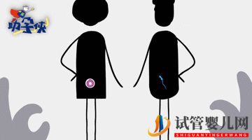 當家視頻_試管嬰兒的步驟、預算和時間管理(圖2) 當家視頻_試管嬰兒的步驟、預算和時間管理(圖2)