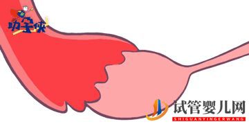 當家視頻_試管嬰兒的步驟、預算和時間管理(圖4) 當家視頻_試管嬰兒的步驟、預算和時間管理(圖4)