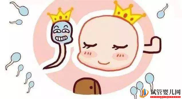 大齡備孕如何提高卵子質量呢? 大齡備孕如何提高卵子質量呢(圖1)