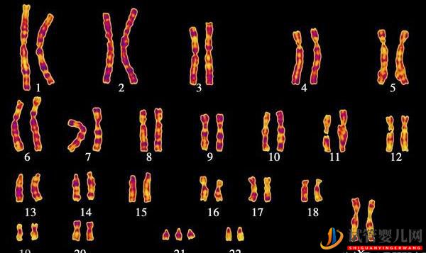 花費(fèi)7.6萬(wàn)國(guó)內(nèi)IVF生下唐氏女寶,美國(guó)試管嬰兒可預(yù)防嗎?(圖1) 花費(fèi)7.6萬(wàn)國(guó)內(nèi)IVF生下唐氏女寶,美國(guó)試管嬰兒可預(yù)防嗎?(圖1)