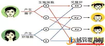 特別想生女兒_方法竟然這么多!第5個最靠譜(圖2)