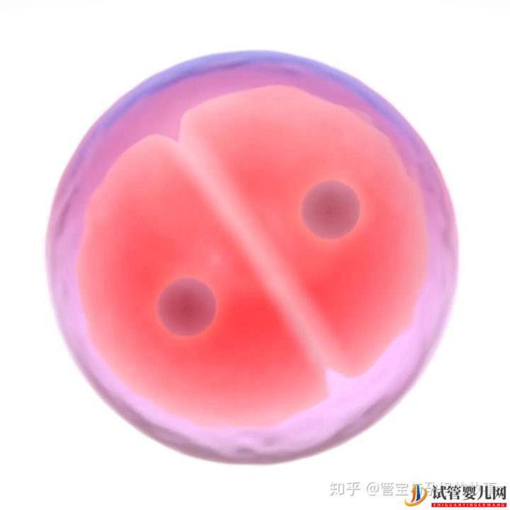 試管移植前的這些激素值達標了,成功率自然高(圖4) 試管移植前的這些激素值達標了,成功率自然高(圖2)