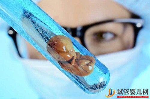 一個試管周期要的時間是多久(圖1)