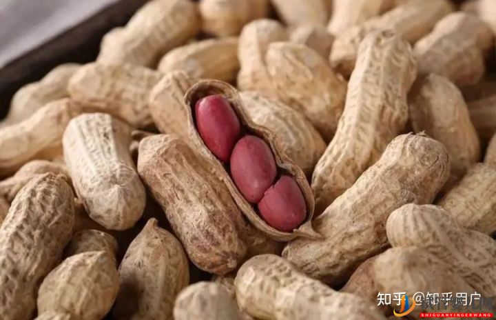 男性備孕也很關鍵,男性備孕講究這么多(圖8) 男性備孕也很關鍵,男性備孕講究這么多(圖4)