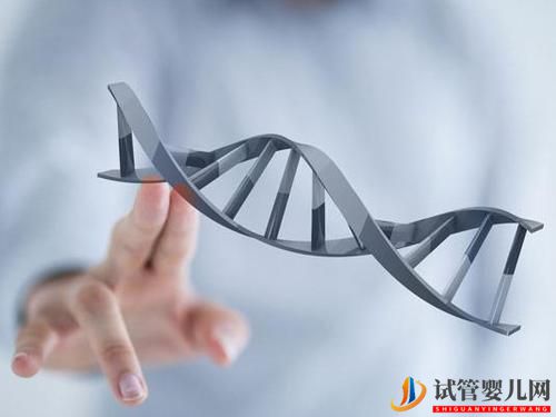 試管嬰兒在各個(gè)階段該做什么準(zhǔn)備(圖1) 試管嬰兒在各個(gè)階段該做什么準(zhǔn)備(圖1)
