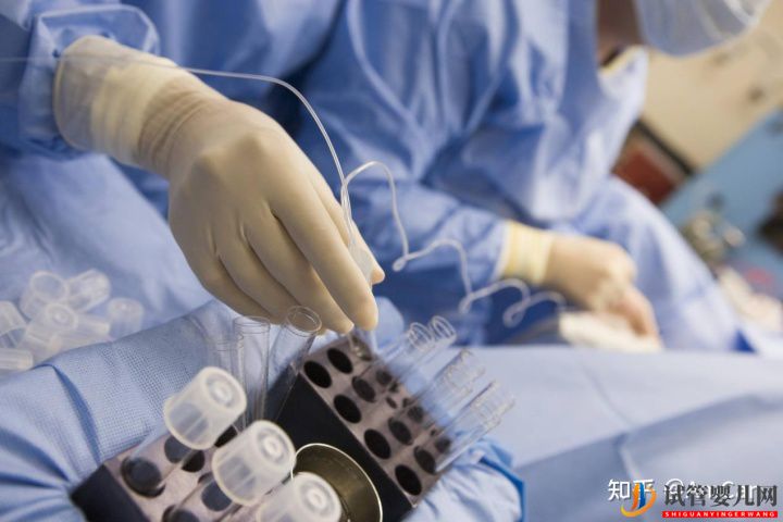 試管嬰兒大揭秘,取卵疼不疼(圖1) 試管嬰兒大揭秘,取卵疼不疼(圖1)