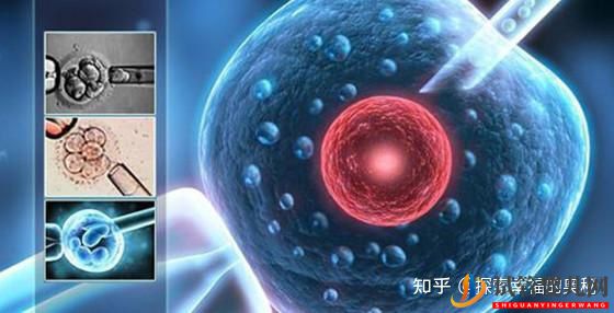 做一次試管嬰兒有哪些流程(圖4)