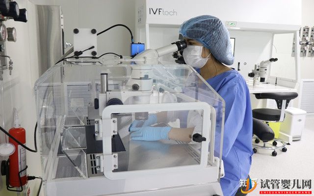 三代試管一次成功的多不多(圖4)