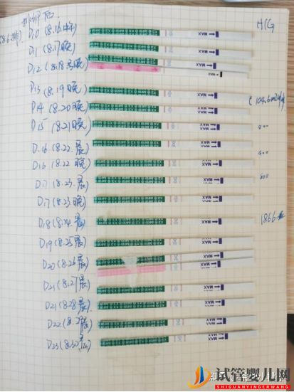 一個15年多囊老患者的自然懷孕經歷(圖5)