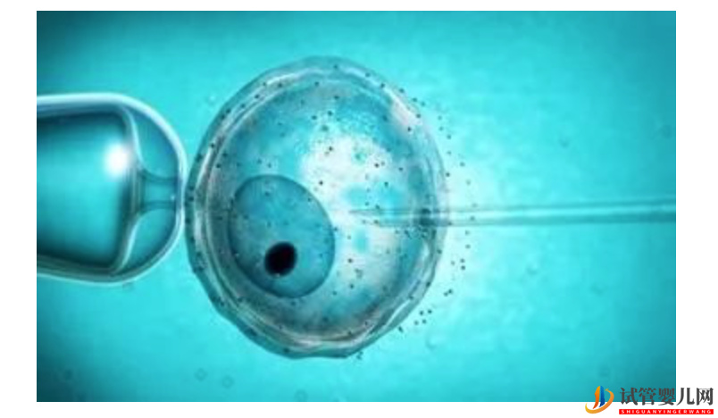 試管嬰兒網:高齡不孕女性可以做試管嬰兒嗎(圖2) 高齡不孕女性可以做試管嬰兒嗎(圖1)