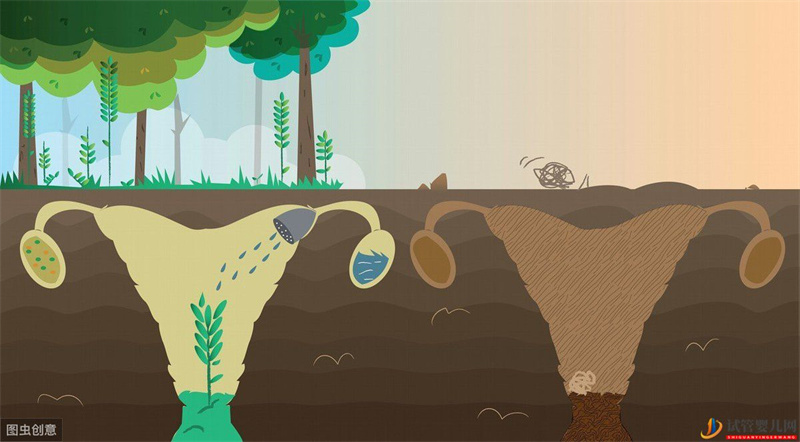 試管嬰兒網:海參崴試管嬰兒一次成功的經歷,簡單分享一下自己的一些心得(圖2) 海參崴試管嬰兒一次成功的經歷,簡單分享一下自己的一些心得(圖1)