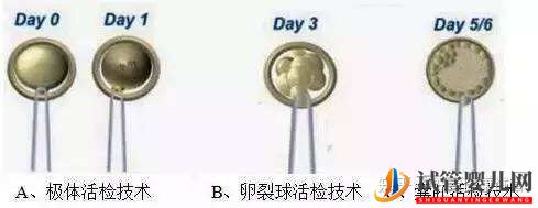 試管嬰兒網:好運健康三代試管知男女的必經之路—胚胎活檢術(圖1) 三代試管知男女的必經之路—胚胎活檢術(圖1)