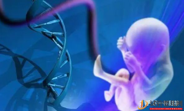 今天講解一下三代試管的基因篩查(圖2)