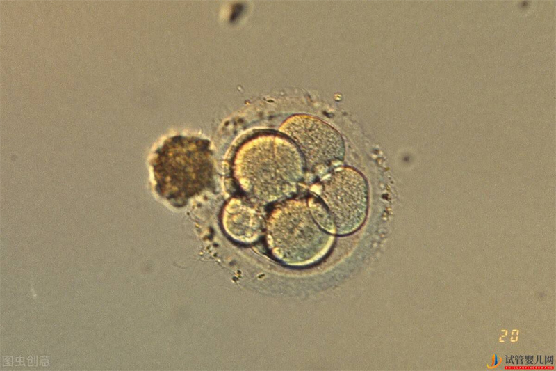 云浮做試管嬰兒胚胎質(zhì)量不好的原因是什么呢(圖1)