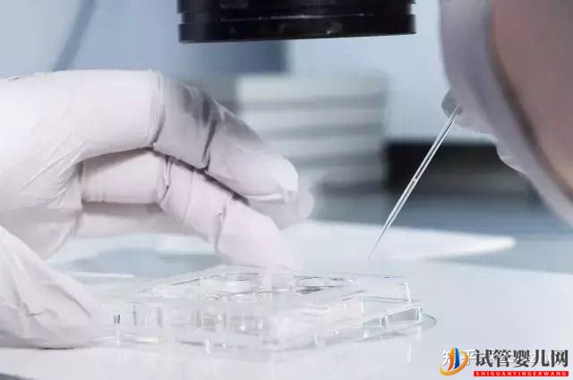 試管嬰兒網(wǎng):做第三代試管一般幾次成功_你想要的答案都在這里(圖1) 阿里做第三代試管一般幾次成功_你想要的答案都在這里(圖1)