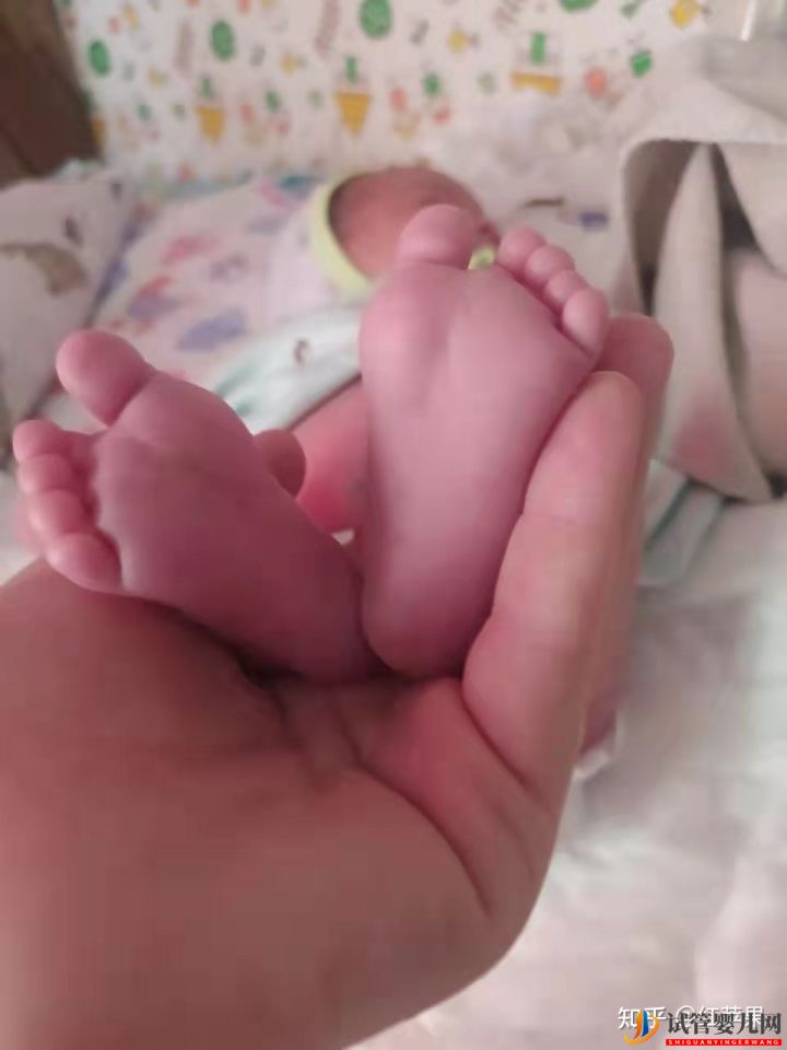 33歲三代試管嬰兒一次成功,試管嬰兒流程分享(圖8)