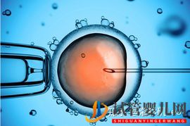 試管嬰兒網:大齡做試管還有機會嗎_美國試管大齡女性必須了解的(圖3) 大齡做試管還有機會嗎_美國試管大齡女性必須了解的(圖2)