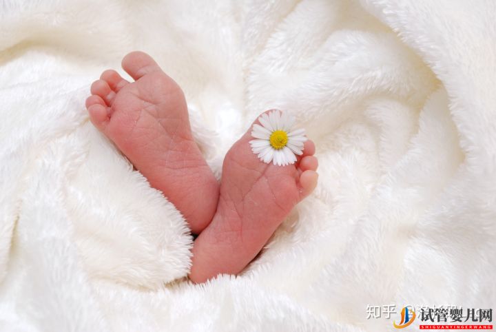 試管嬰兒網:大齡做試管還有機會嗎_美國試管大齡女性必須了解的(圖8) 大齡做試管還有機會嗎_美國試管大齡女性必須了解的(圖4)