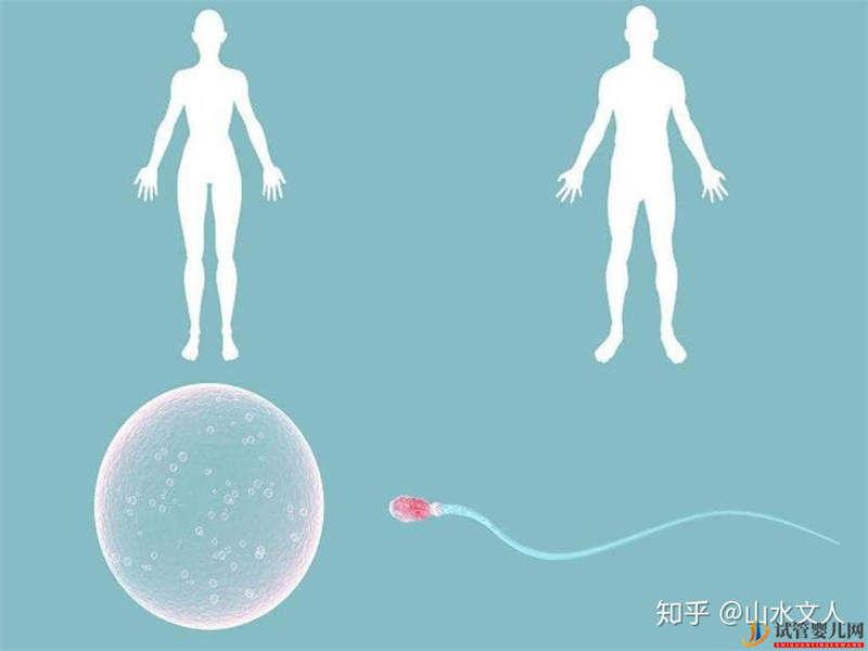 試管嬰兒網(wǎng):試管嬰兒可以選擇性別嗎費用大概是多少錢(圖4) 試管嬰兒可以選擇性別嗎(圖2)