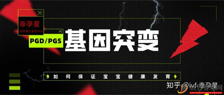 如何應對受精卵結合時發生基因突變(圖2)