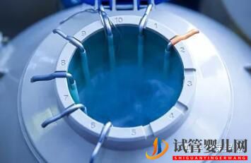 試管嬰兒網:試管過程中影響成功率的關鍵是什么,鮮胚、凍胚、囊...(圖1) 試管過程中影響成功率的關鍵是什么,鮮胚、凍胚(圖1)