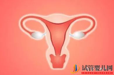 不著床總移植失敗70%的原因是因?yàn)檫@個(gè)!(圖3) 不著床總移植失敗70%的原因是因?yàn)檫@個(gè)!(圖2)