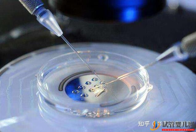 上海做試管嬰兒費用大約多少錢三代試管嬰兒成功率(圖4)