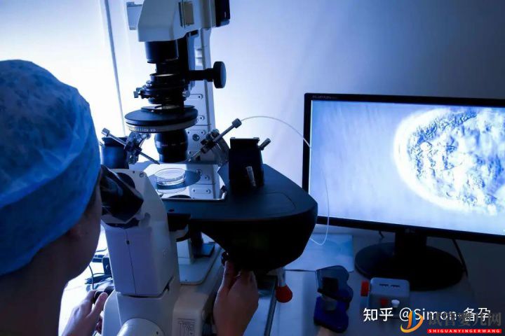 什么是第一代、二代、三代試管嬰er別再傻傻分不清...(圖3)