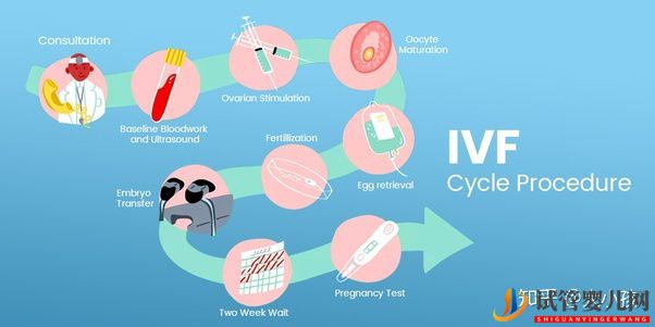 仔細瞧瞧,第三代試管嬰兒的四大誤區!(圖4)
