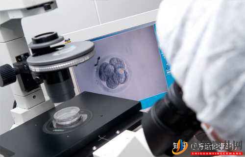 依賴人工干預的三代試管技術,對高齡求子(圖4) 依賴人工干預的三代試管技術,對高齡求子(圖4)