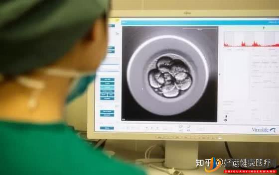 依賴人工干預的三代試管技術,對高齡求子(圖6) 依賴人工干預的三代試管技術,對高齡求子(圖6)