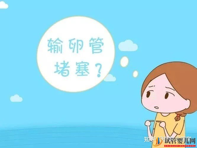 右側輸卵管通而不暢,左側輸卵管息肉,做三代試管的...(圖3) 右側輸卵管通而不暢,左側輸卵管息肉,做三代試管的...(圖2)