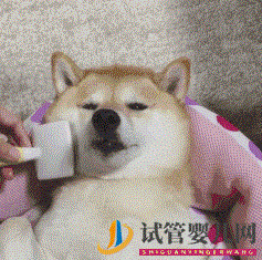 四十歲大齡三代試管嬰兒真實經歷一個胚胎也能一次...(圖5)