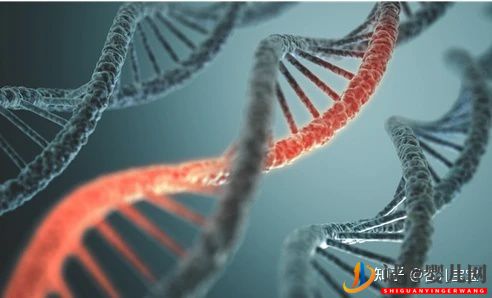 深圳第三代試管排名較為靠前的醫院,不妨來看下(圖3)